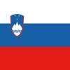 Metal Sign 30 x 40 cm, Slovenia Flag, Wall Decor, Café, Collector's Gift view 1