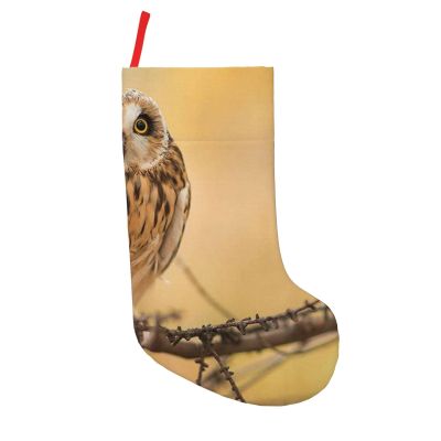 ROOZEE Christmas Stocking, Owl Standing on Tree, 45.7 cm, Festive Decor and Gift Bag