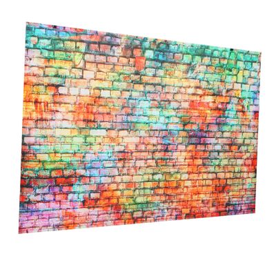 Colorful Brick Backdrop for Studio Photography