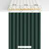 Desiwa Finishing Trim, Dark Green, 10.7 × 252 cm, Pastel view 3