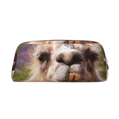 DEHIWI Alpaca Llama Pencil Case, Waterproof, Gold, One Size