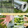 Waterproof Transparent Tarp 2 x 6.5 m, PVC 0.35 mm, Weather-Resistant, with Rope view 3