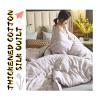 XHCTNN Pure Mulberry Silk Duvet, Queen Size, Winter Duvet, Quilted Cotton Cover (C, 220 x 240 cm/4 kg) view 2