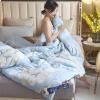 XHCTNN Queen-Size Winter Quilt with 100% Mulberry Silk Filling, 200 × 230 cm, 2 kg view 1