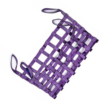 Webbing Cargo Securing and Lifting Net, 0.3–3.5 t, Size 1