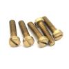 Aolity Mdingbao Brass Slotted Head Screws M2–M8, M3x8, 80 pcs view 1