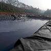JEDAL HDPE Pond Liner, Black, 0.12 mm, 11 x 12.5 m (36 x 41 ft) view 2