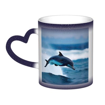 Killer Whale Dolphin Ocean 1 Color-Changing Ceramic Mug
