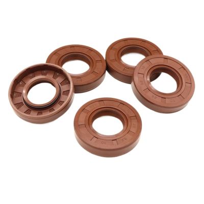 FKM Double-Lip Radial Rotary Seal, 25 × 55 × 10 mm, 2 Pieces