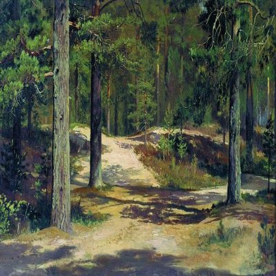 DTAUPREB DIY Paint-by-Numbers Kit for Beginners, Forest by Ivan Shishkin, 16 x 20 in