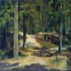 DTAUPREB DIY Paint-by-Numbers Kit for Beginners, Forest by Ivan Shishkin, 16 x 20 in view 1