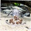 PRETYZOOM 2-Piece Transparent Aquarium Snail Traps view 2