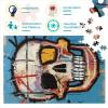 Basquiat-Style Skull Wooden Puzzle for Adults, 1,000 Extra-Large Pieces, 29.5 x 19.7 in view 2