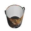 Leopard-Print Laundry Basket with Sturdy Handles, Waterproof and Foldable view 4