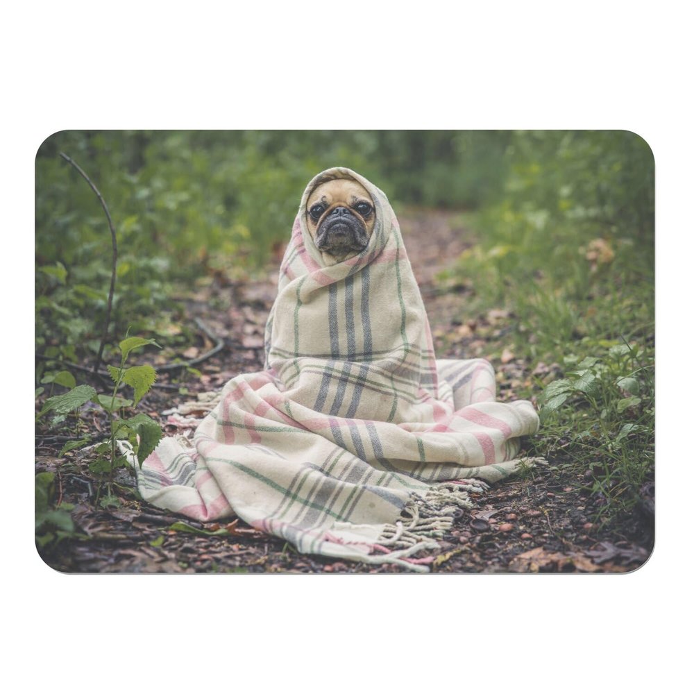 Cork-Backed Placemat with Cute Pugs, 39.5 x 28.5 cm