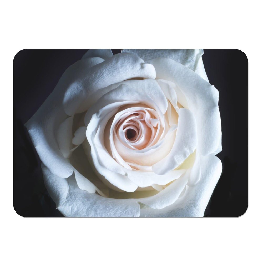 Fabulous Placemats with Cork Backing, White Rose on Water, Nature Flower, Large, 39.5 x 28.5 cm, 4 Count