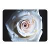 Fabulous Placemats with Cork Backing, White Rose on Water, Nature Flower, Large, 39.5 x 28.5 cm, 4 Count view 1