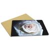 Fabulous Placemats with Cork Backing, White Rose on Water, Nature Flower, Large, 39.5 x 28.5 cm, 4 Count view 4