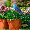 higyee Clip-On Birds for Decoration view 2