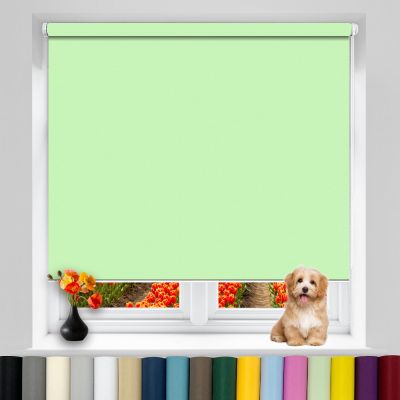 Blackout Thermal Day & Night Roller Blind 80 x 210 cm, Light Green