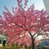 Large Outdoor Artificial Japanese Cherry Blossom Tree view 2