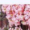 Large Outdoor Artificial Japanese Cherry Blossom Tree view 4