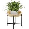 Bamworld Round Rattan Plant Stand, Handwoven Rope Plant Shelf, Side Table or Coffee Table for Small Spaces, Elegant Flower Holder for Patio or Balcony view 1