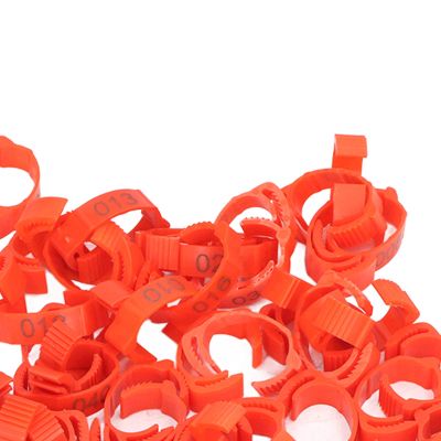Wnvivi 50-Piece Retractable Numbered Poultry Leg Bands