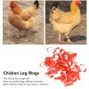 Wnvivi 50-Piece Retractable Numbered Poultry Leg Bands view 2