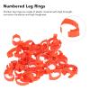 Wnvivi 50-Piece Retractable Numbered Poultry Leg Bands view 3