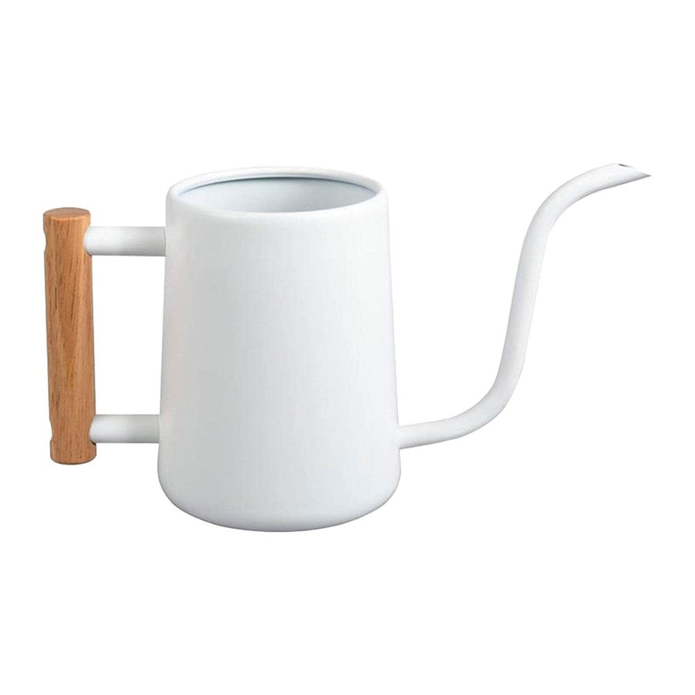 Flower Watering Can, Galvanized Metal, for Garden and Indoor Plants