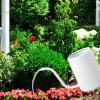 Flower Watering Can, Galvanized Metal, for Garden and Indoor Plants view 2