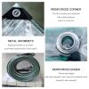 Heavy-Duty Waterproof Clear PVC Tarp with Eyelets, 2.3 × 3.5 m view 3