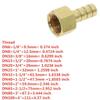 OqcEha Copper Hose-End Accessory, Brass Barb Fitting, 4–19 mm ID, 1/8–1/2 in Female Thread view 4