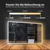 Alasta Denver LED Bathroom Mirror 60 x 140 cm, Customizable view 2