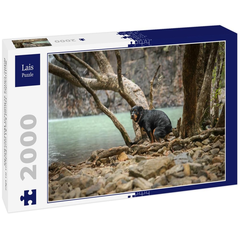 Lais Rottweiler Dog Pooping on Rocks Near a Beautiful Watering Hole Puzzle, 2,000 Pieces