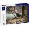 Lais Rottweiler Dog Pooping on Rocks Near a Beautiful Watering Hole Puzzle, 2,000 Pieces view 1