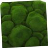 TOPBATHY 2-Piece Artificial Moss Mat for Bonsai and Miniature Landscapes view 4