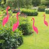 2-Piece HDPE Flamingo Garden Stakes, Realistic Garden Decor view 3