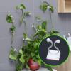 zalati Plant Climbing Supports, 10-Pack, White view 2