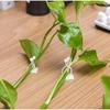 zalati Plant Climbing Supports, 10-Pack, White view 4