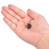 QUARKZMAN 10 Sets 7 mm Cord End Caps with Lobster Clasps, Metallic Black view 4