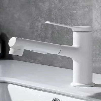 Pull-Out Bathroom Sink Faucet, Painted Finish, Single Body + 60 cm Hose