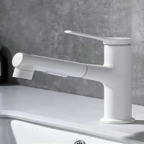 Pull-Out Bathroom Sink Faucet, Painted Finish, Single Body + 60 cm Hose