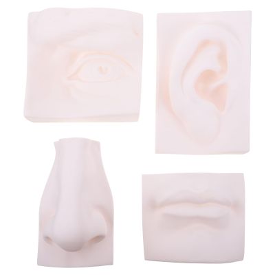 Portable White Soft Plastic Sketching Sculpture for Students