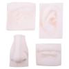 Portable White Soft Plastic Sketching Sculpture for Students view 1