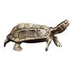 BESPORTBLE 2-Piece Miniature Turtle Table Ornament view 1