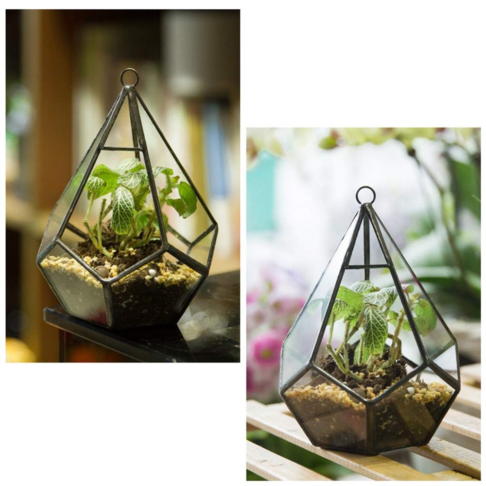 Hanging Geometric Glass Terrarium, Gold/Black