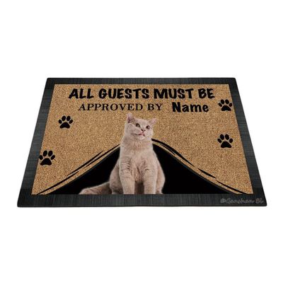 Ganshan Bi Funny Doormat with British Shorthair Cat, "All Guests Must Be Approach," 27.5 x 17.7 in, Style 1