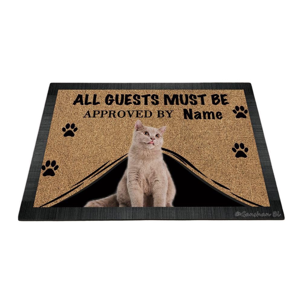 Ganshan Bi Funny Doormat with British Shorthair Cat, "All Guests Must Be Approach," 27.5 x 17.7 in, Style 1